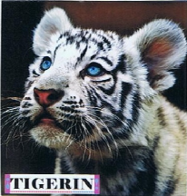 Tigerin Cover